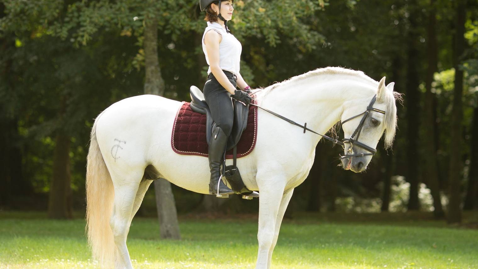Équitation et prévention des blessures quelques 7 astuces pour les enfants et les débutants