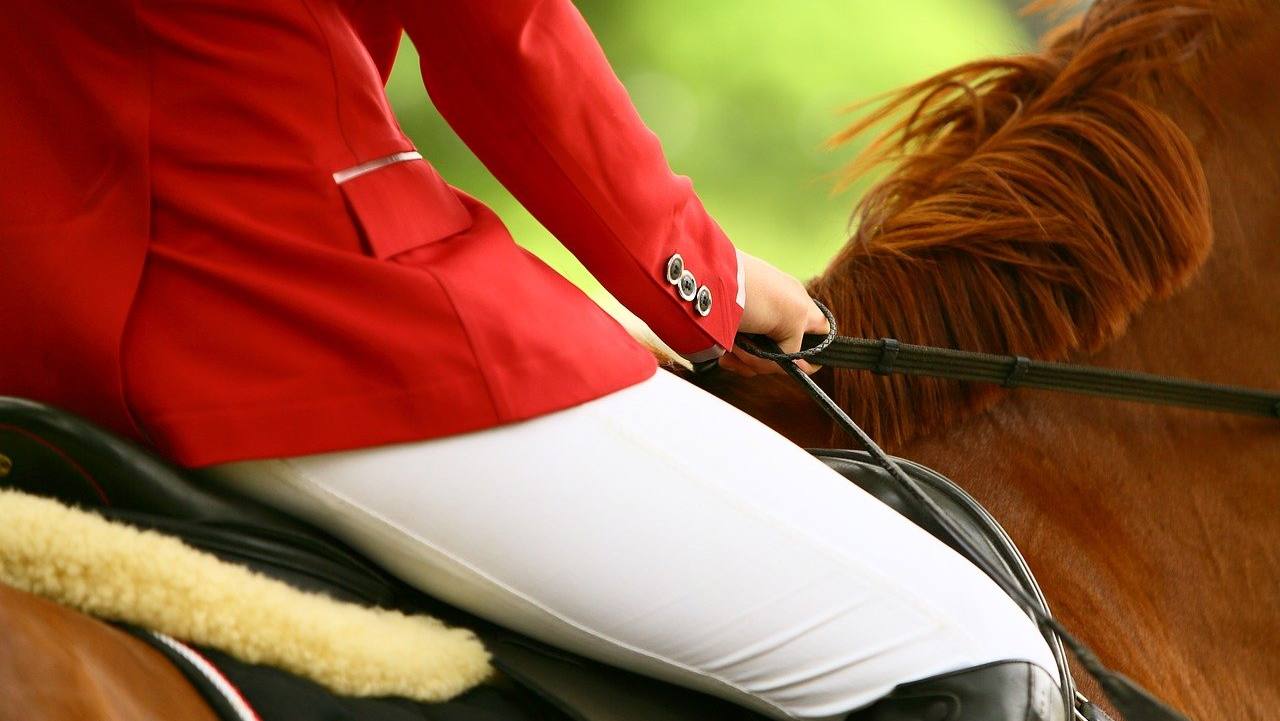 Riding breeches: five checks for a fit that works for you