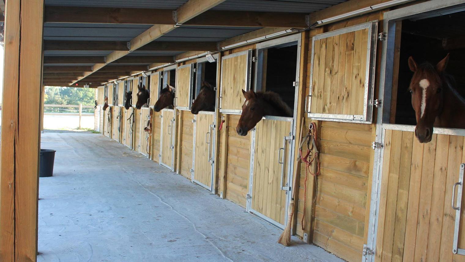Choisir un box pour son cheval : espace, sol et budget du projet