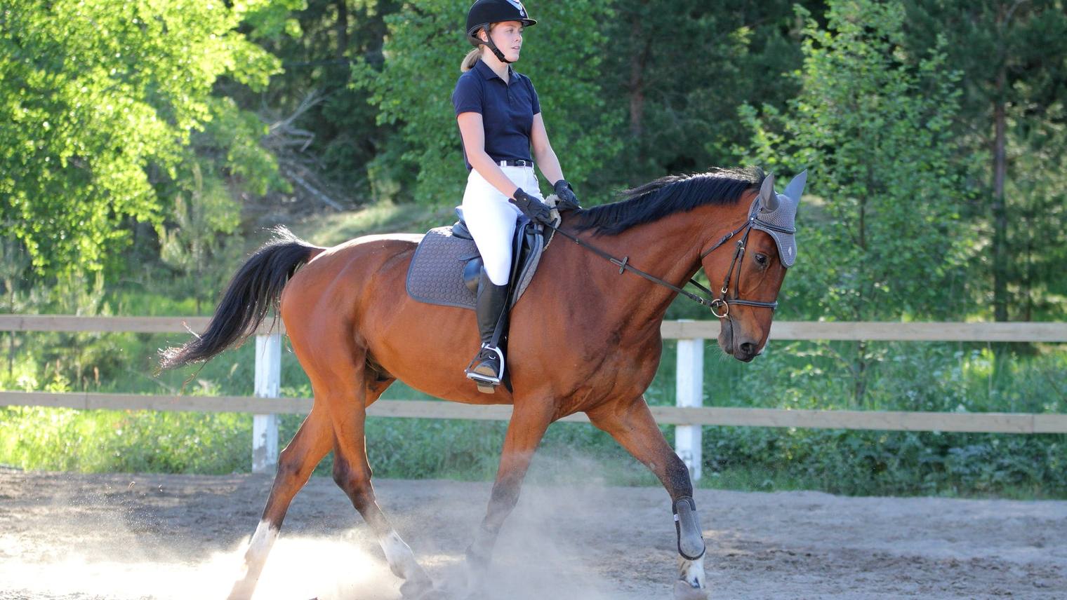 Galop 3 : programme, épreuves et préparation
