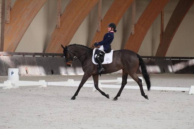 Qu’est-ce que le para dressage  ?