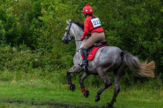 Body protector, back protector or airbag: preparing to choose riding protection