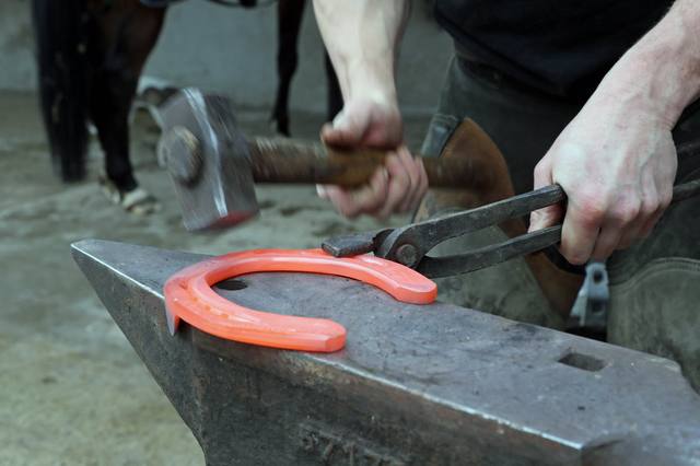 Farrier: a closer look at the profession