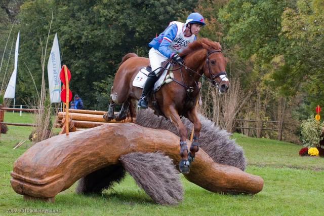 Qu’est-ce que le cross ?