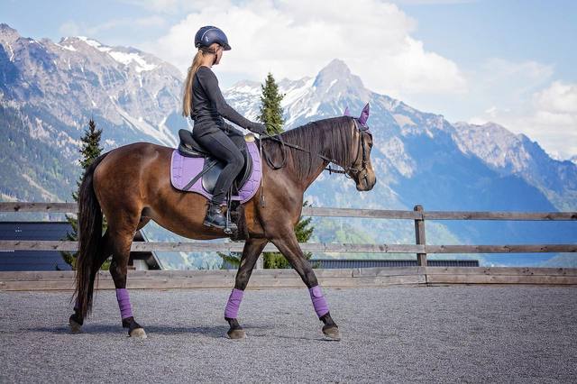Quelle tenue prévoir pour débuter l’équitation ?