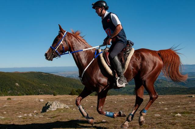 What is endurance riding?