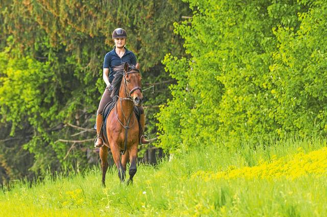 Quel contrat d’assurance souscrire pour un cheval de course ?