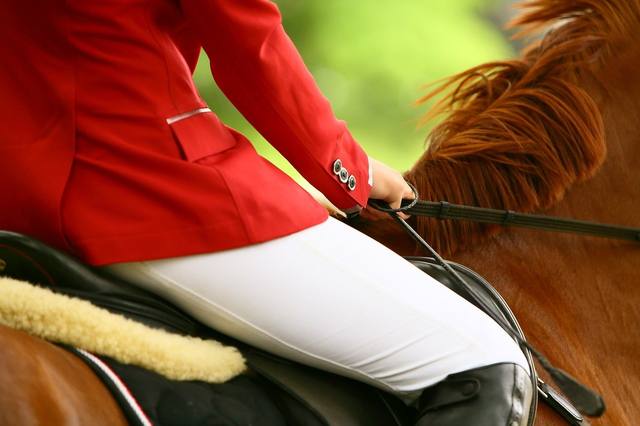 Pantalon d’équitation : cinq critères pour choisir une coupe qui vous convient