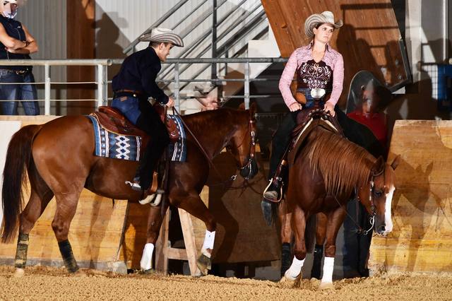 Équitation western : choisir une pratique et préparer sa découverte