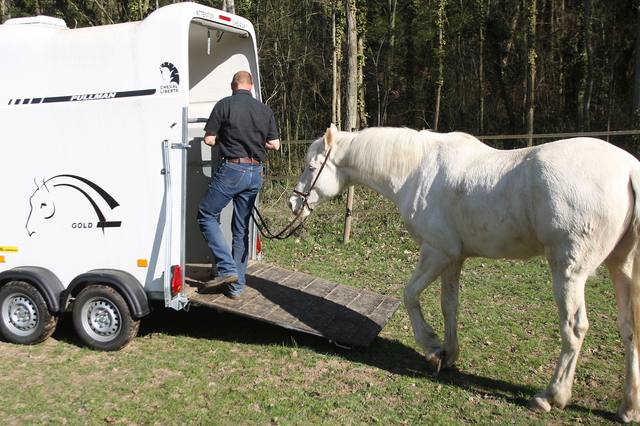 Mon cheval a peur du van pour le transporter, que faire ?