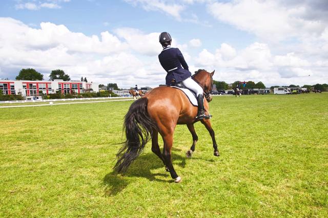 Riding and schooling