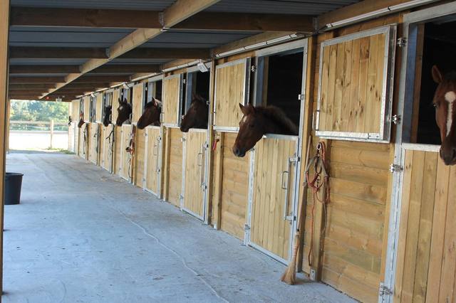 Choisir un box pour son cheval : espace, sol et budget du projet