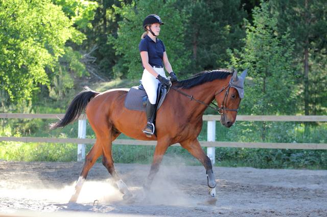 Galop 3 : programme, épreuves et préparation