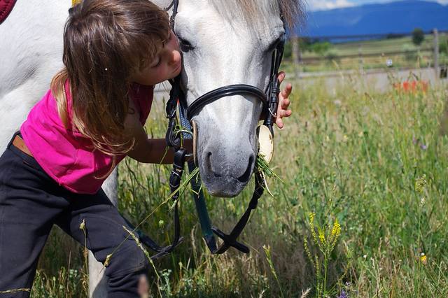 How much do private riding lessons cost?