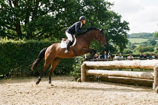 Saut d’obstacles : comprendre le parcours, les oxers et les hauteurs