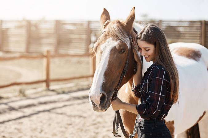 The horse breeder's profession