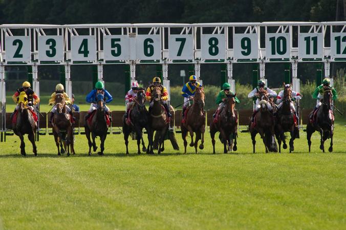 The administration and regulation of horse race betting