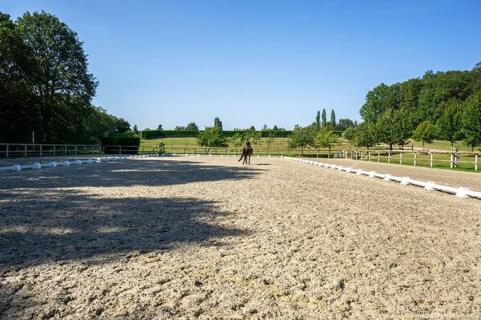 Dressage arena: what to consider when building one