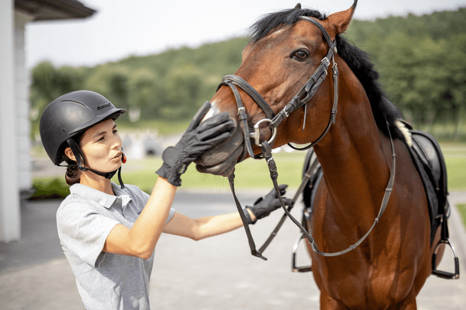 Galop 4 : programme, épreuves et préparation