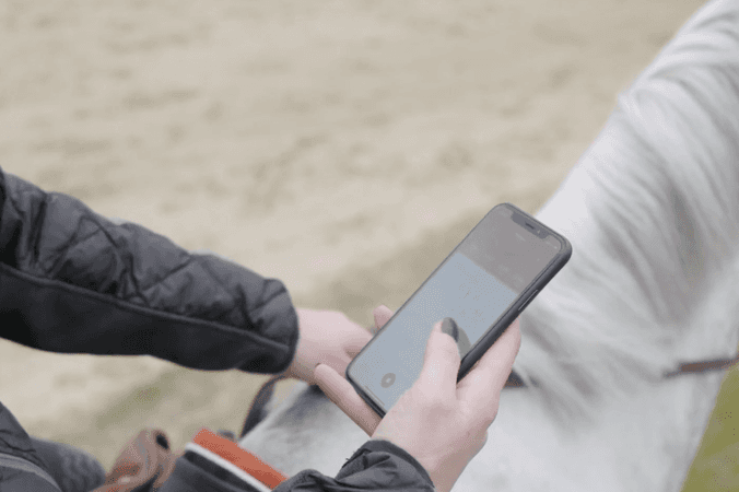 Which start-ups are there in the equestrian world?