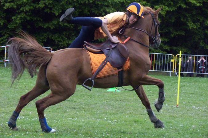 Les poneys-games : guide complet