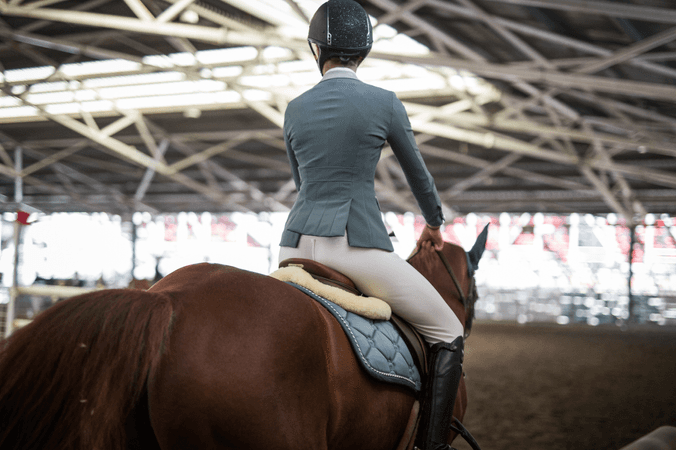 On horses' backs