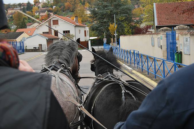 Riders and carriages on public roads
