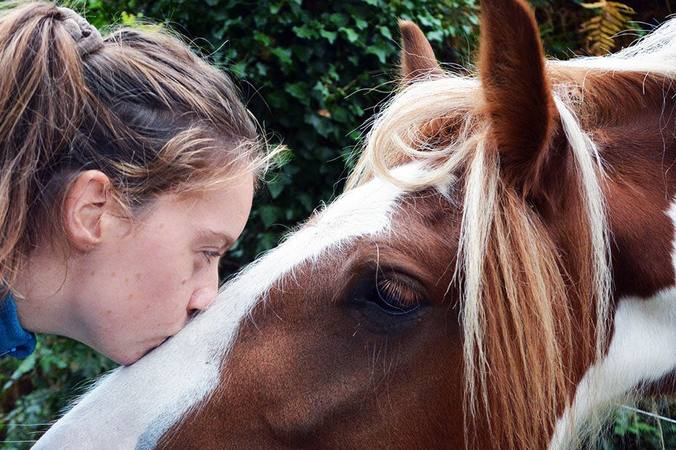 How to sell your horse on