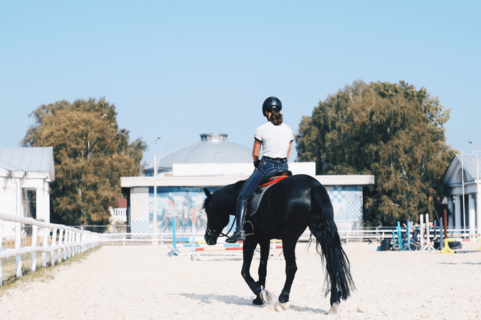 Galop 6 : programme, épreuves et préparation