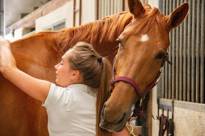 Looking after your horse