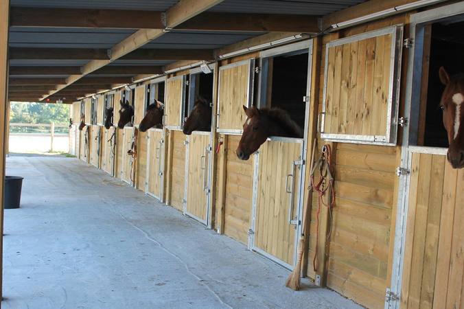 Choosing a horse’s stable: space, flooring and the full project cost