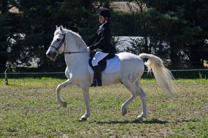 Galop 5 : programme, épreuves et préparation