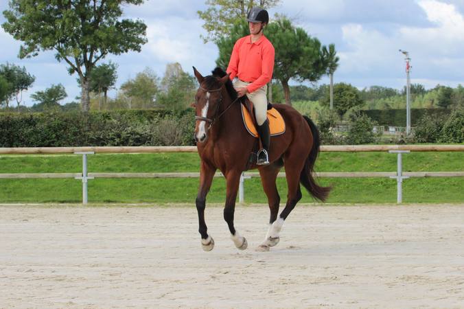 Galop 2 : programme, épreuves et préparation