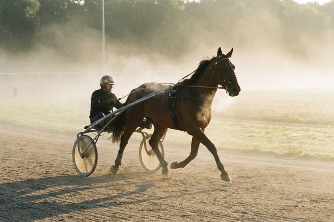 The French Trotter: distinguish racing from a retraining project